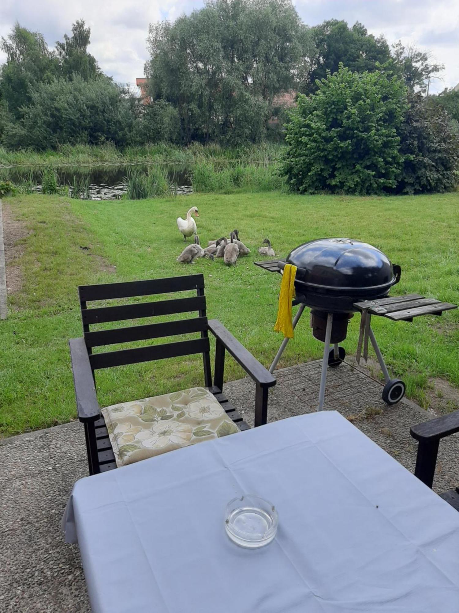 Apartament Nad Woda Marzecino Esterno foto